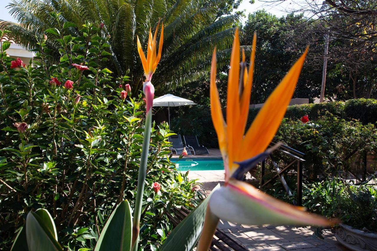 Constantia Manor Guest House Pretoria-Noord Exterior foto